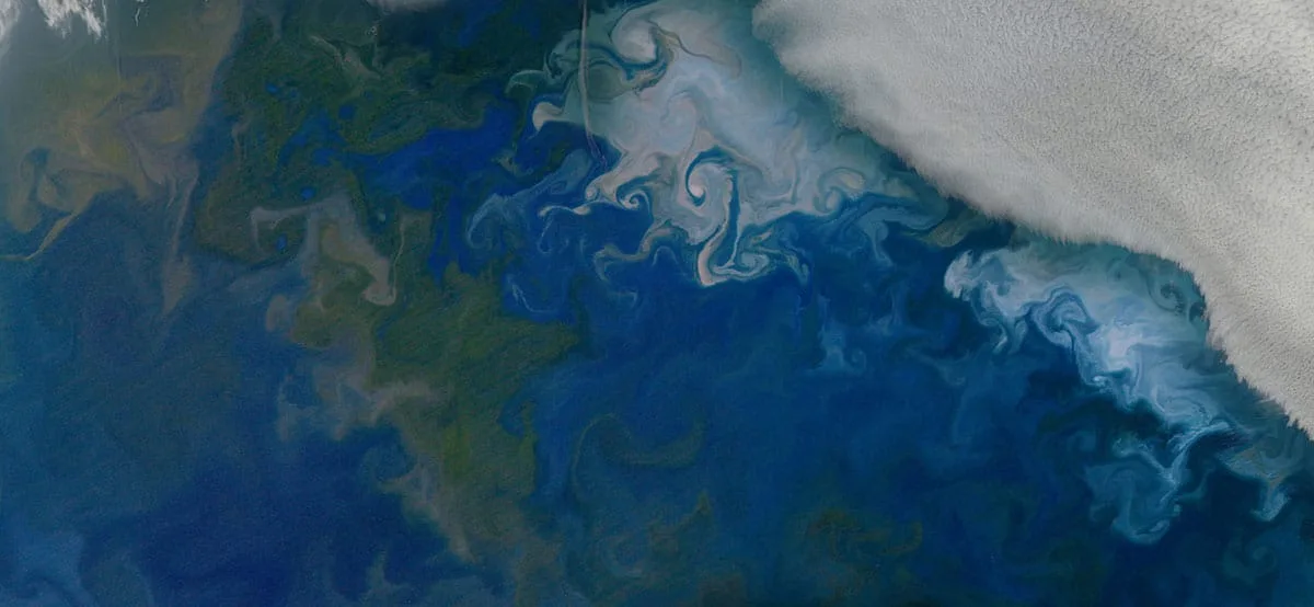 Phytoplankton blooms in the Barents Sea, shown in natural color from NASA's Aqua satellite on July 10, 2014. Credit: NASA's Earth Observatory. Size, WebP.